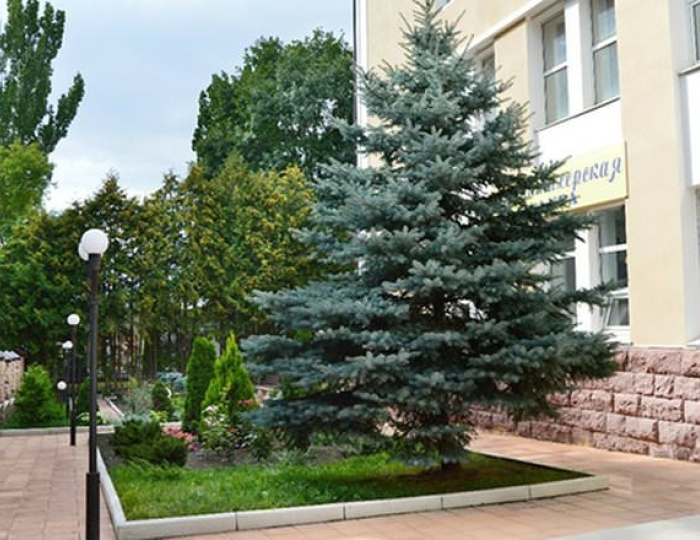 Санаторий «Радуга» Кисловодск